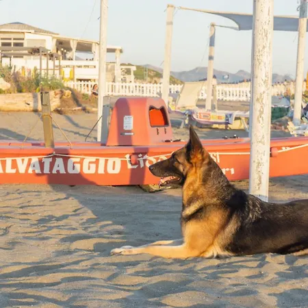 Baron ホテル スカウリ