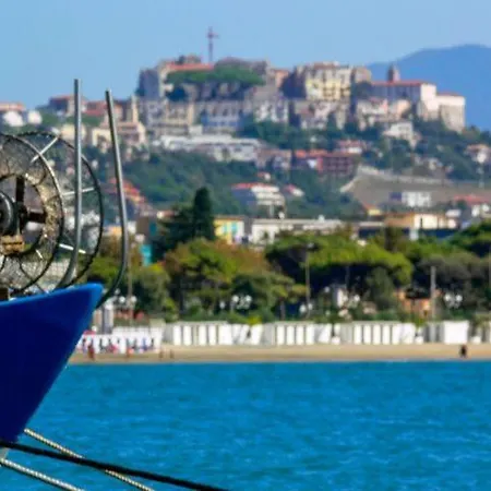 Baron 2* スカウリ