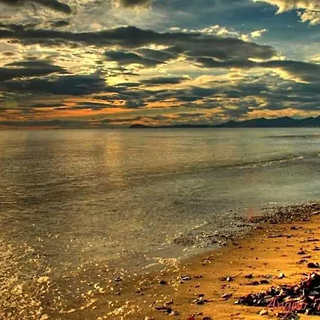 Hotel Baron