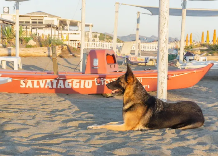 Baron Отель Скаури